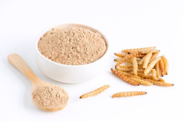 proteinova muka